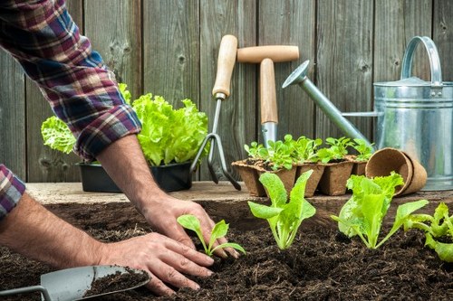 Accessible gardening information displayed on a tablet outdoors